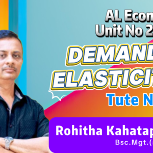 Demand Elasticity (Theory)