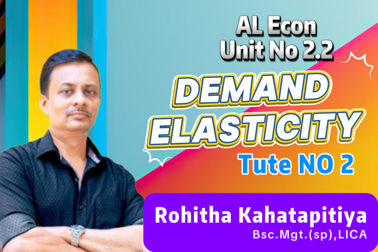 Demand Elasticity (Theory)